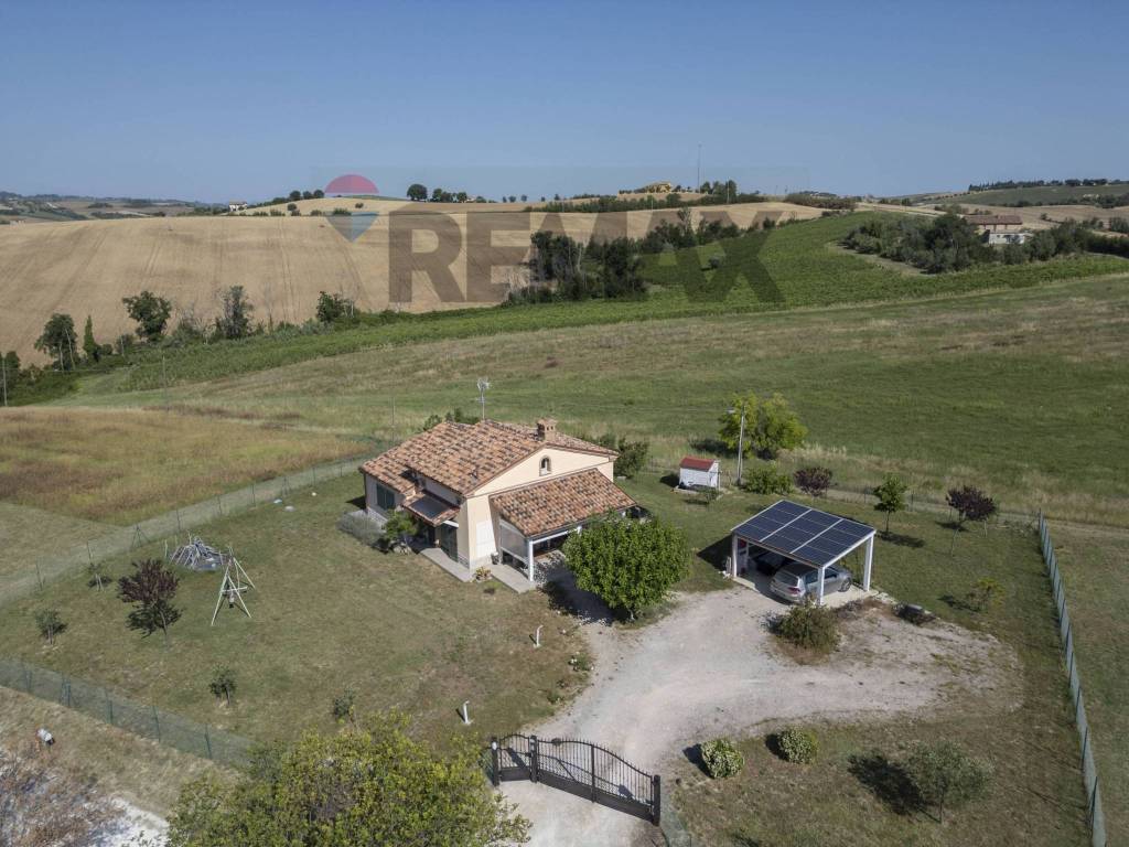 Vista