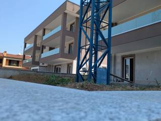 Vista