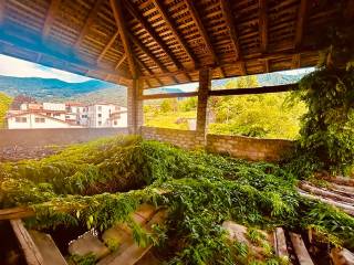 Vista
