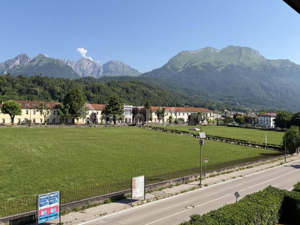 Vista