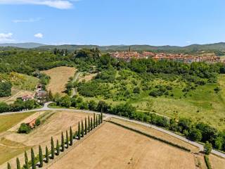 Vista