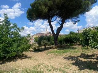 Terreno