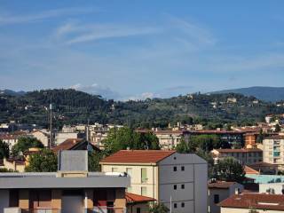 Vista