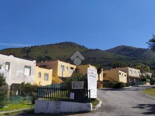 Zona