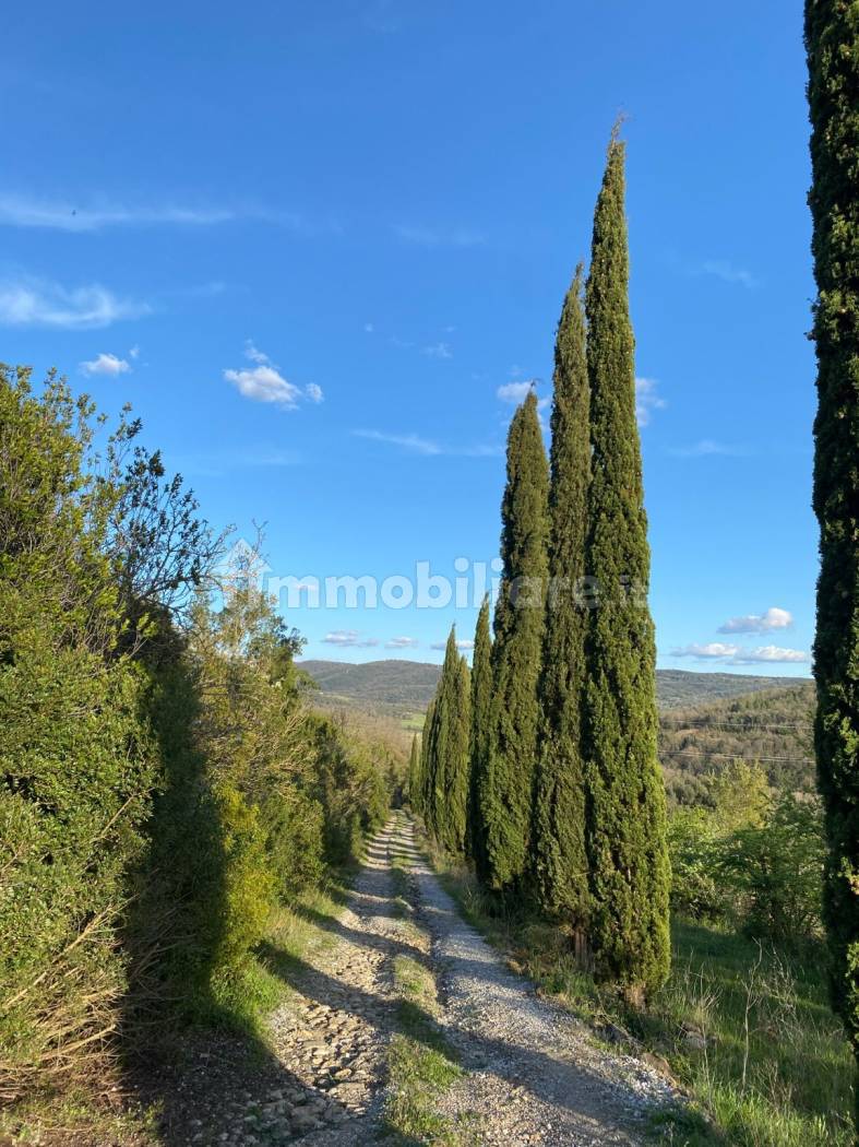 Rustico - Casale in vendita a Pomarance
