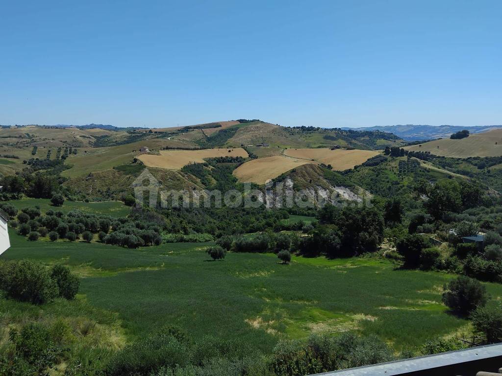 Vista