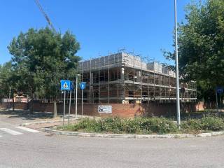 Zona