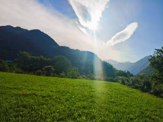 Vista