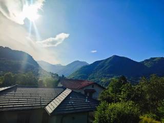 Vista