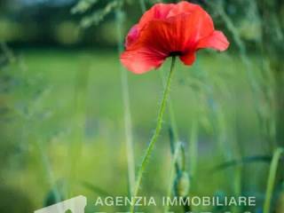 Altro