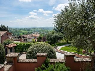 Vista