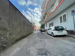Zona