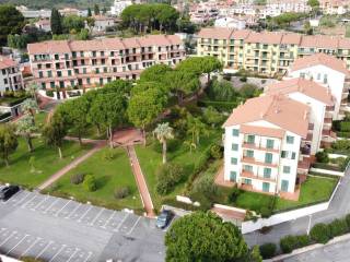 Vista