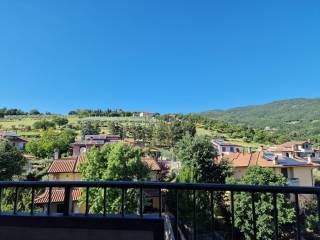 Vista