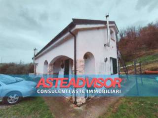Zona