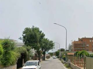 Zona