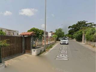 Zona