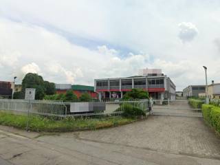 Zona
