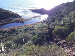 Zona