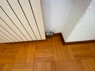 Scala
