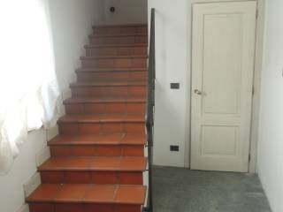 Scala