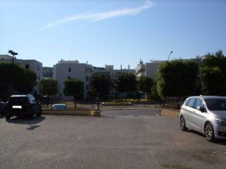 Zona
