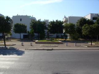 Zona