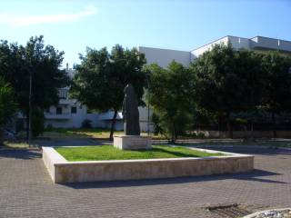 Zona