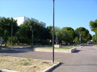 Zona