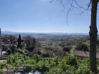 Vista