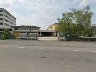 Zona