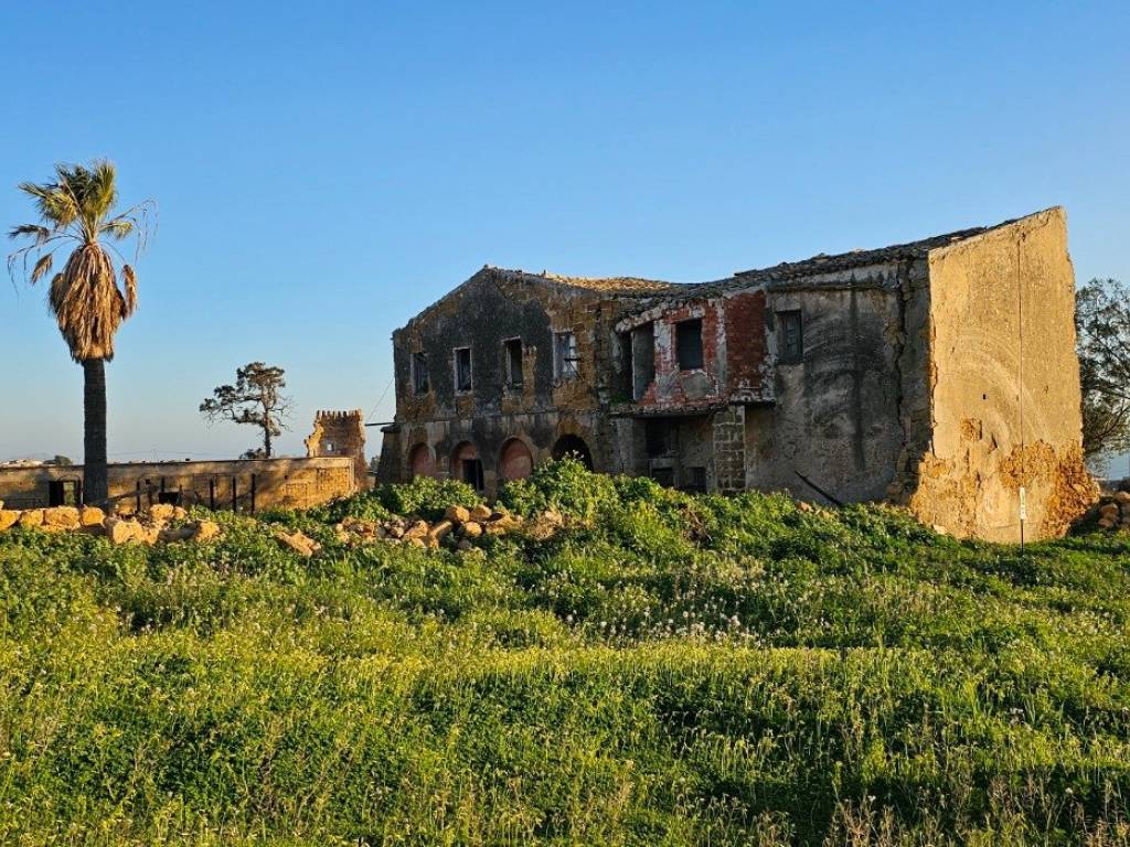 Terreno