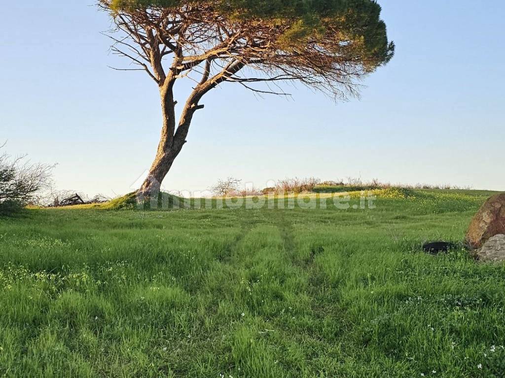 Terreno