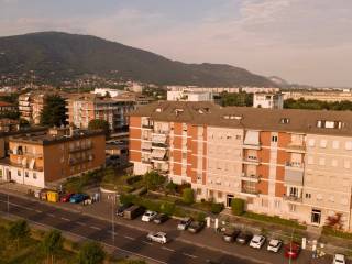 Vista