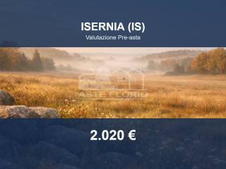 Altro