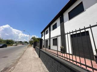 Zona