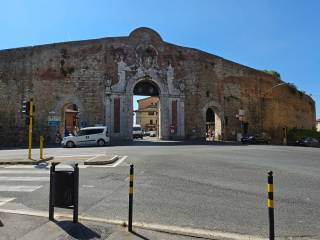 Zona