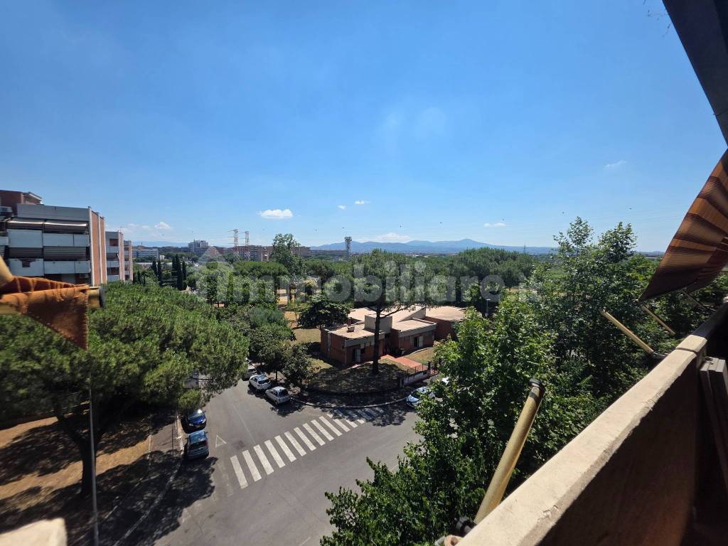 Vista