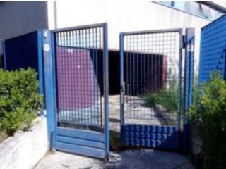 Ingresso