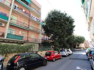 Zona