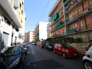 Zona