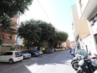Zona