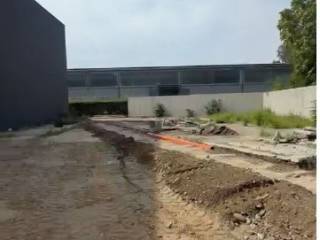 Zona