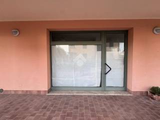 Ingresso