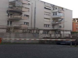 Zona