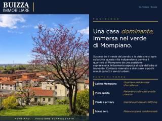 Vista