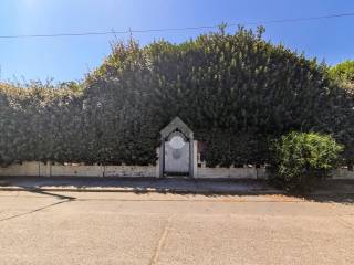 Zona