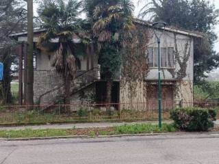 Zona