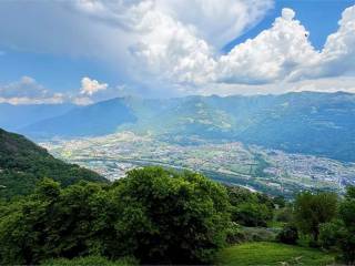 Vista