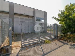 Ingresso